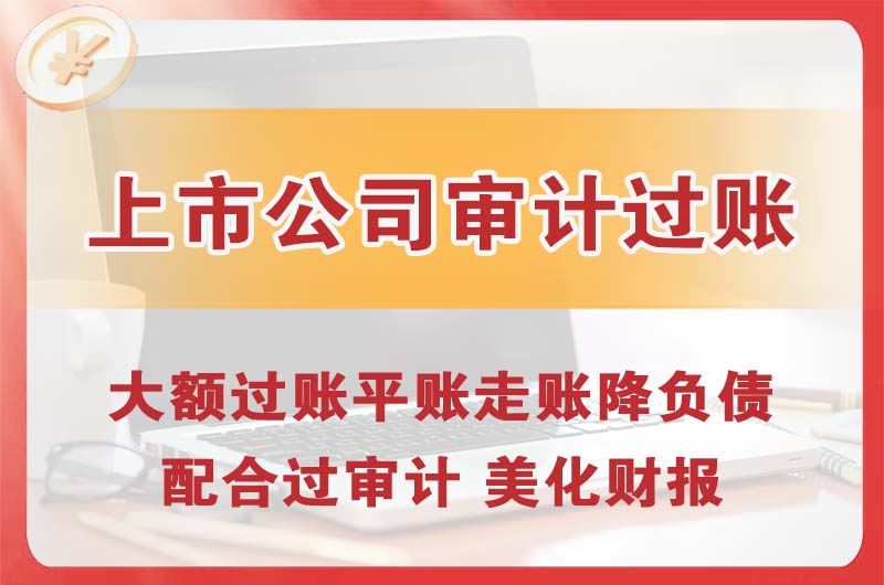 遂溪上市公司审计过账